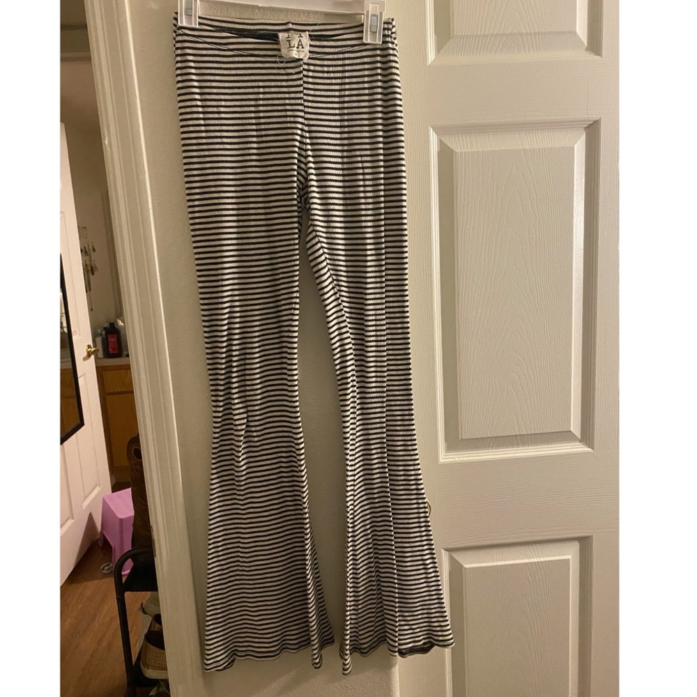 Ribbed PacSun flare plant